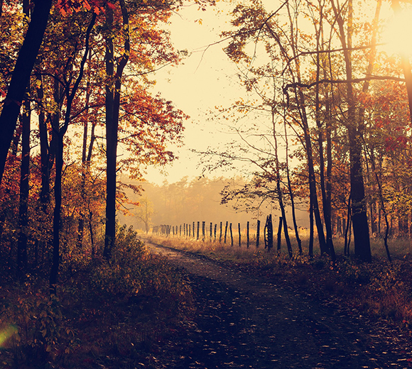 Walk_Talk