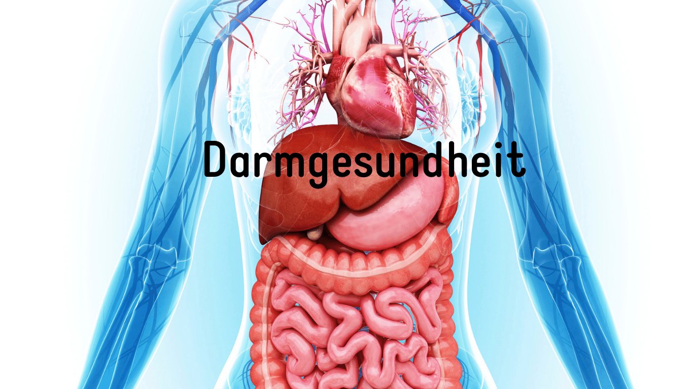 Dein Darm Dein zweites Gehirn