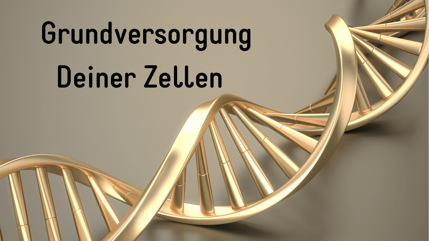 Die Grundversorgung wirkt hier wie ein tägliches Schutzschild