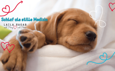 Schlaf als stille Medizin