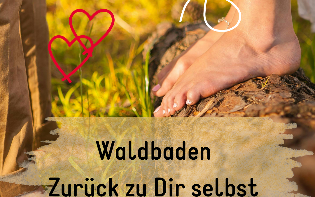 Waldbaden führt zurück zu Dir selbst